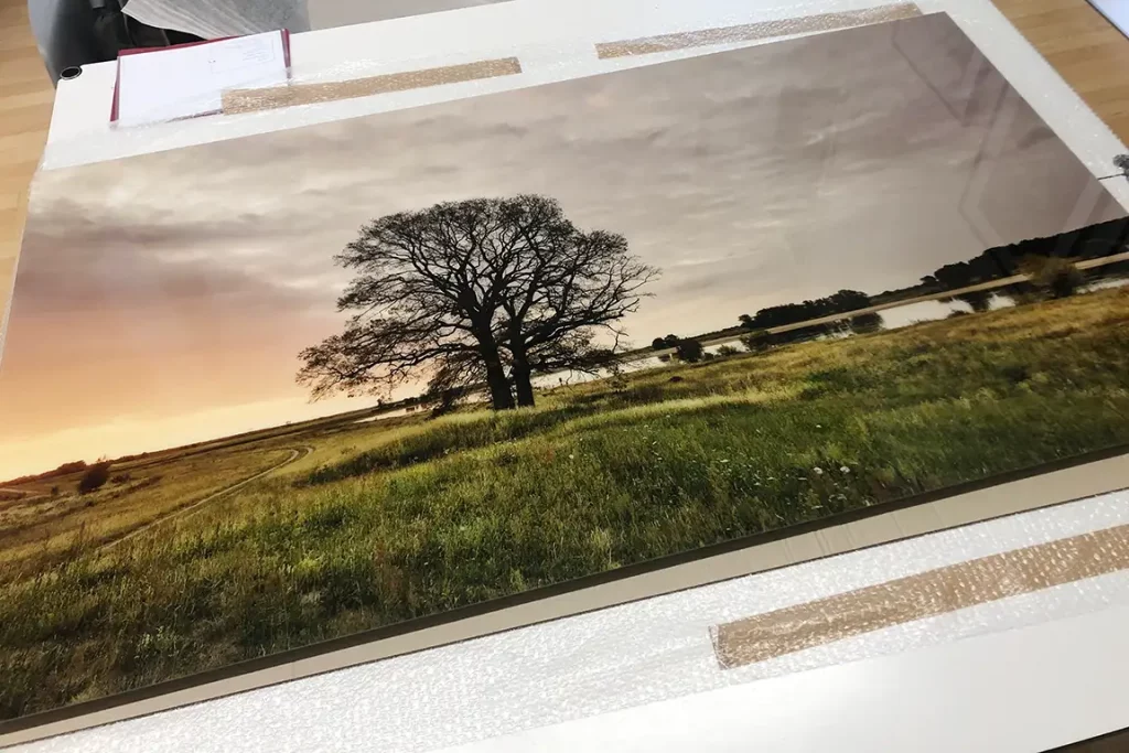 Acrylglas Print, Lenzener Elbtalaue