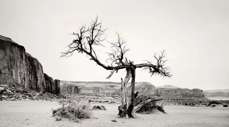 North Window Tree in the Monument Valley, USA